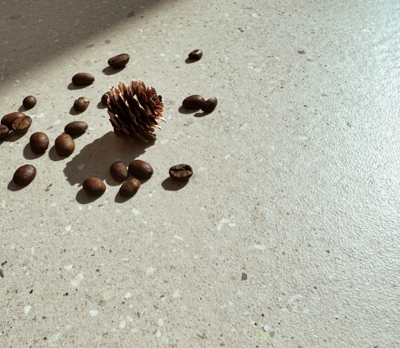 C12622, C622 gray Terrazzo Porcelain Tile in 600x1200mm and 600x600mm, shown as a close-up surface sample with a fine terrazzo-style texture and subtle color particles
