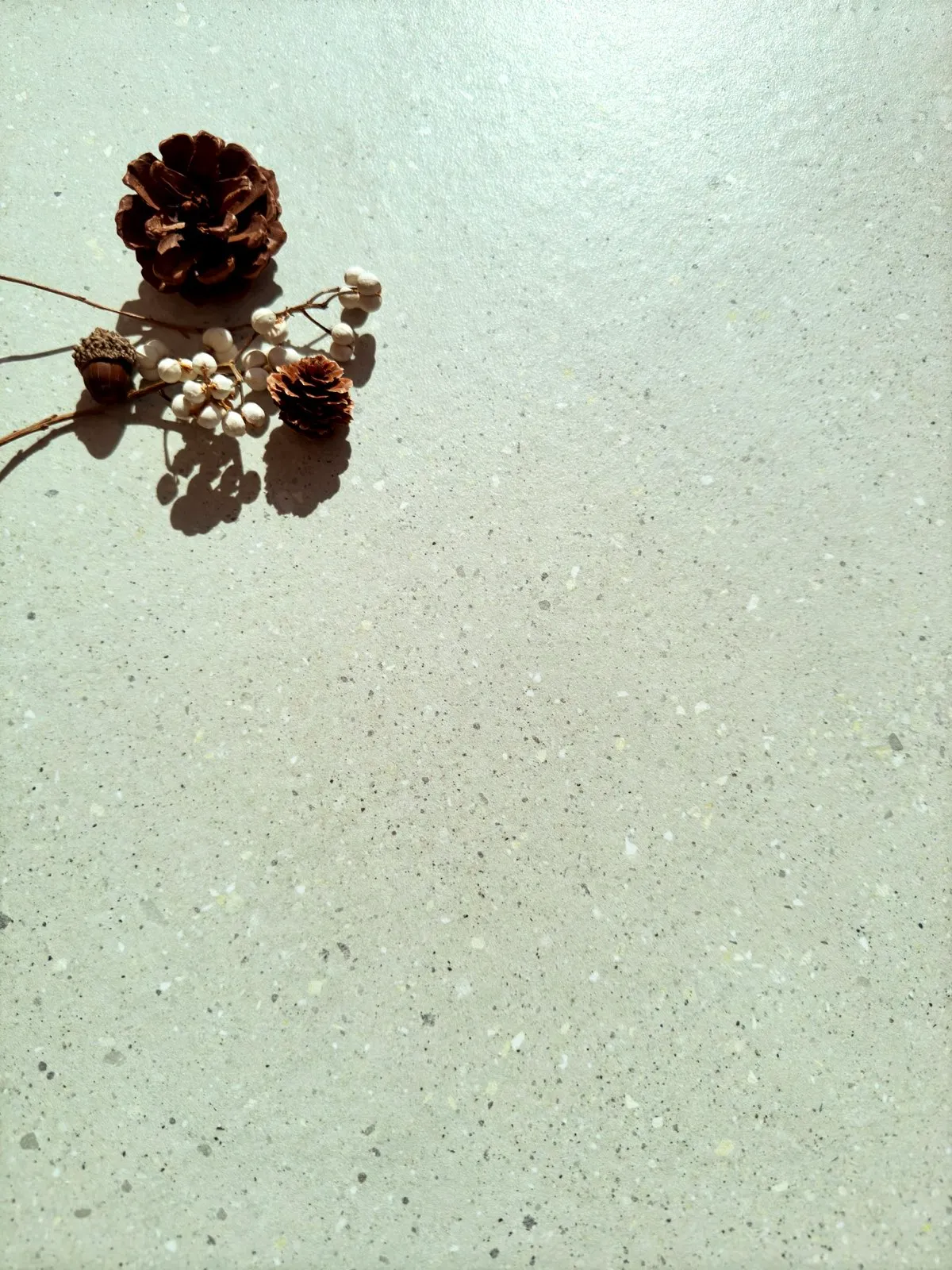 C12623, C623 green Terrazzo Porcelain Tile in 600x600mm, shown as a close-up surface sample with a fine terrazzo-style texture and subtle color particles