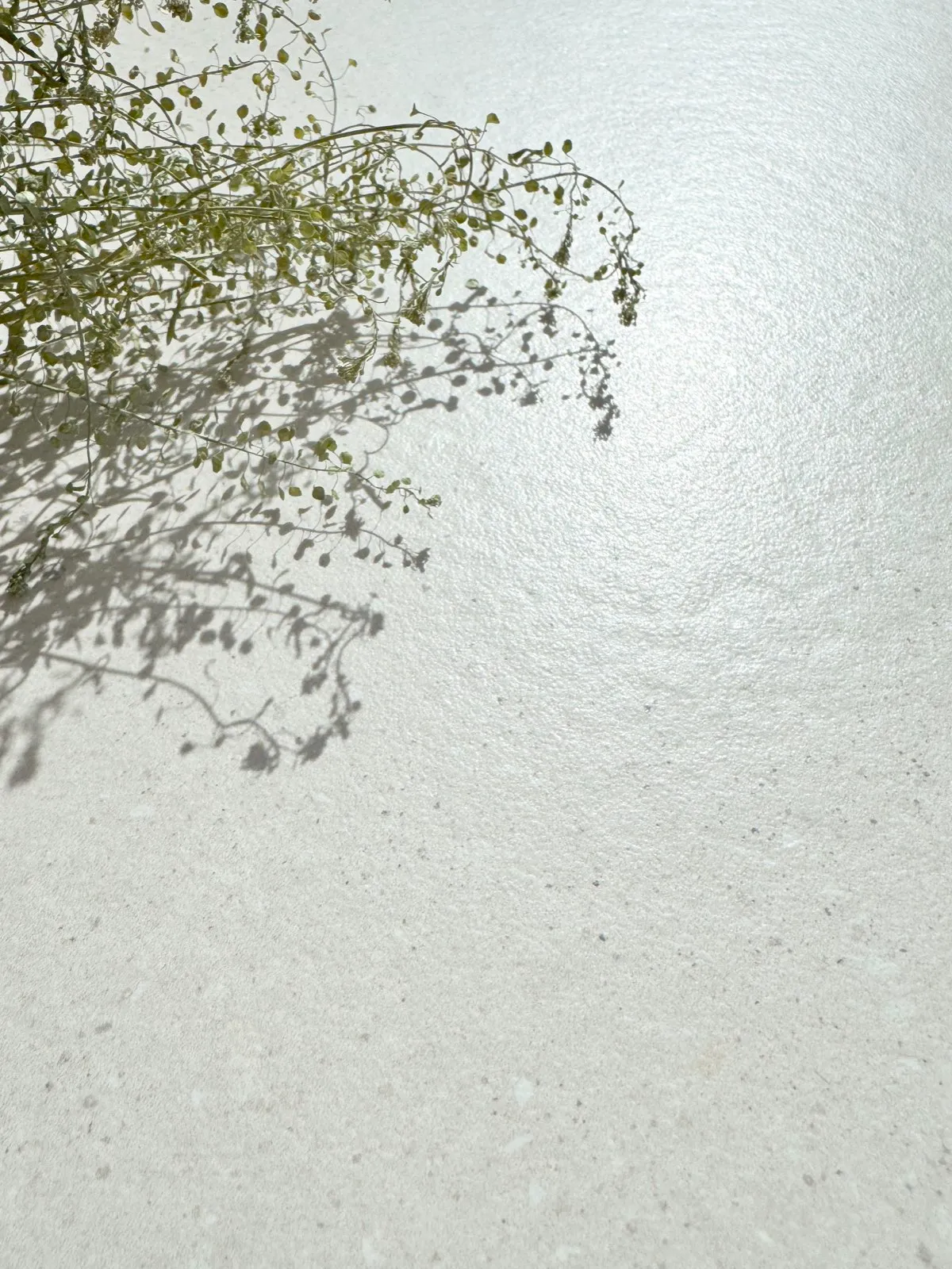 C12621, C621 ivory Terrazzo Porcelain Tile in 600x1200mm and 600x600mm, shown as a close-up surface sample with a fine terrazzo-style texture and subtle color particles