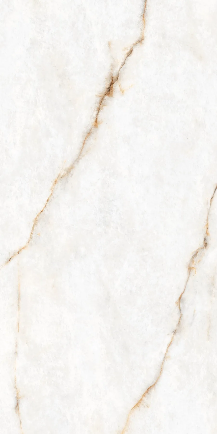 FM189621LEV White Onyx Look porcelain tile shown in an application-style product view